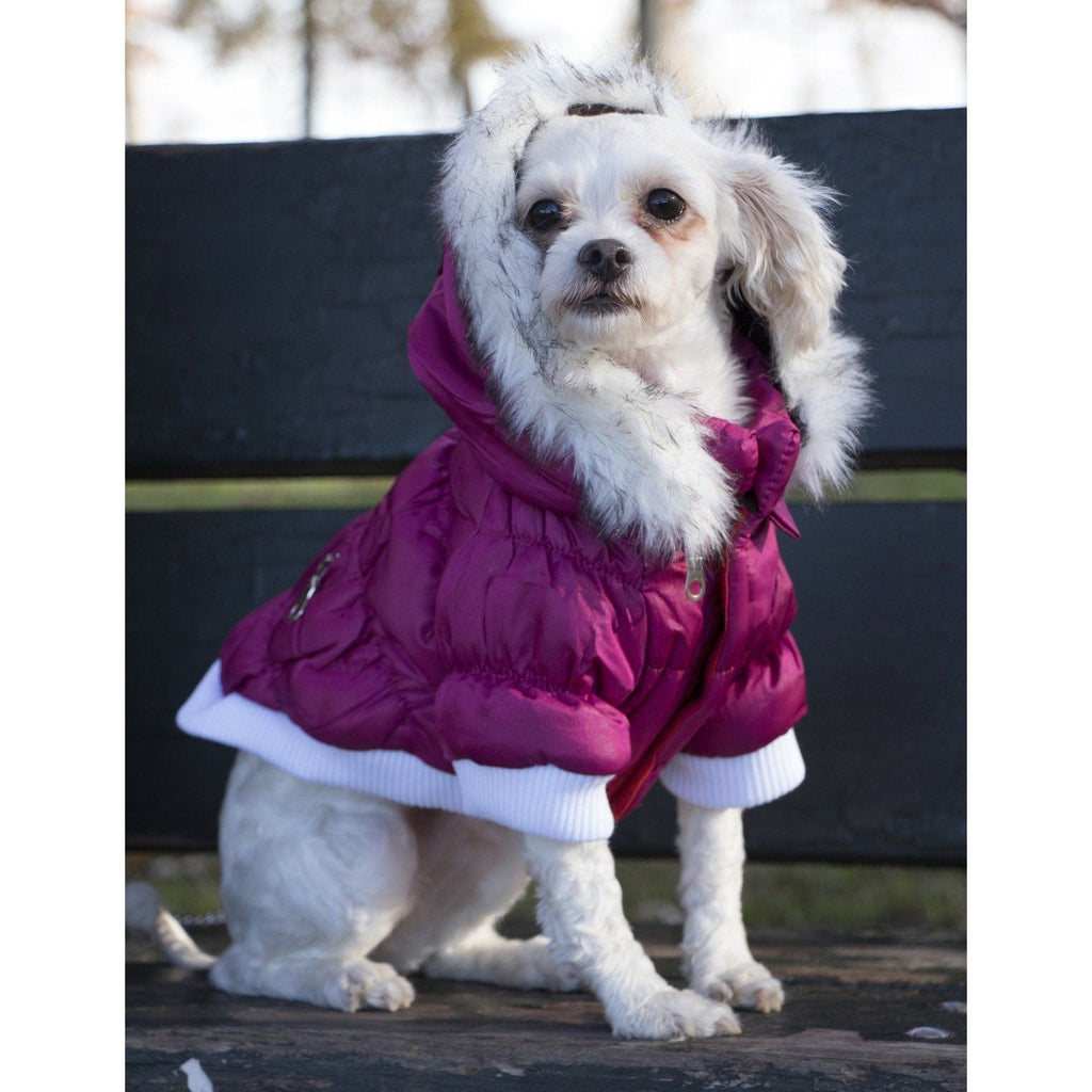 Insulated Dog Coat with Removable Hood - Metallic Parka Jacket
