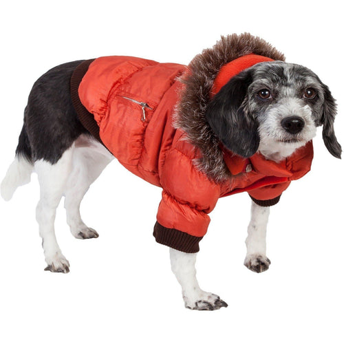Insulated Dog Coat with Removable Hood - Metallic Parka Jacket