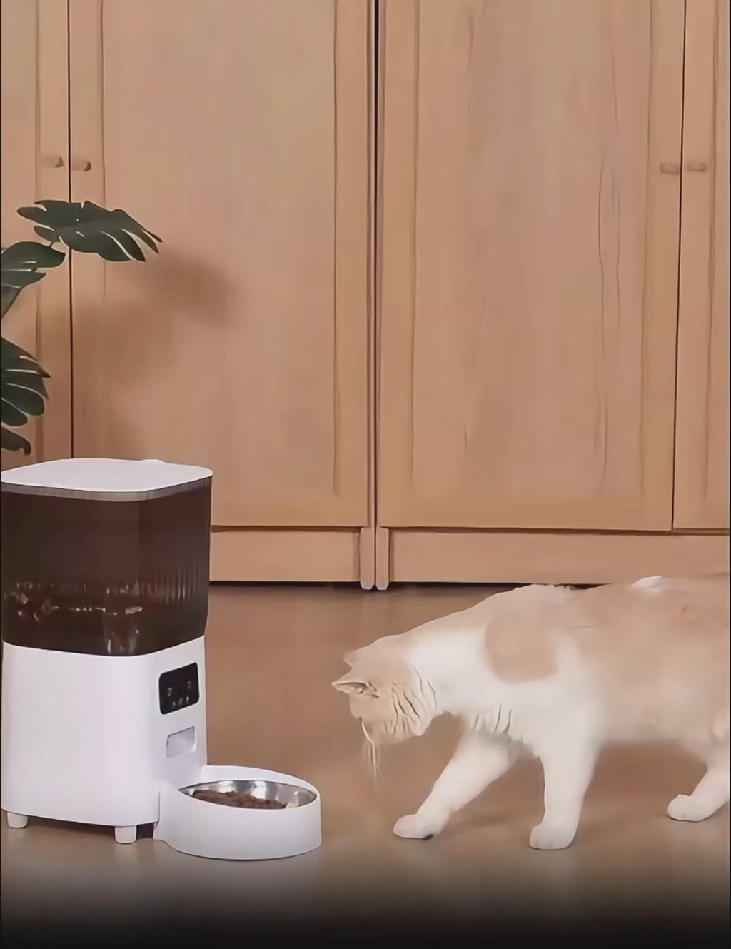 Smart Pet Feeder with Camera - 5L Automatic Food Dispenser for Cats & Dogs