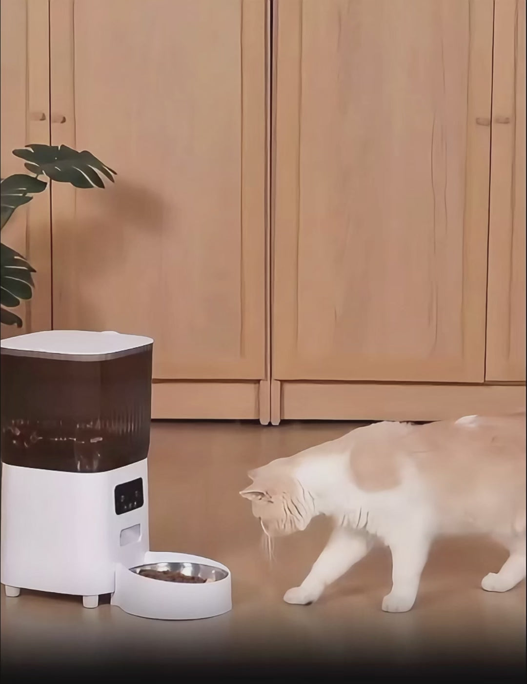 Smart Pet Feeder with Camera - 5L Automatic Food Dispenser for Cats & Dogs