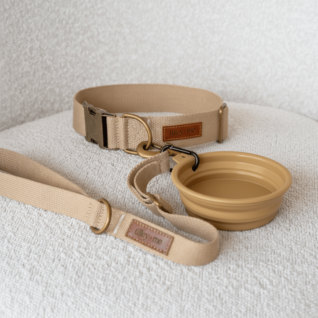 Tilley + Me Collapsible Travel Pet Bowl with Clip – Compact, Reusable and Easy to Clean